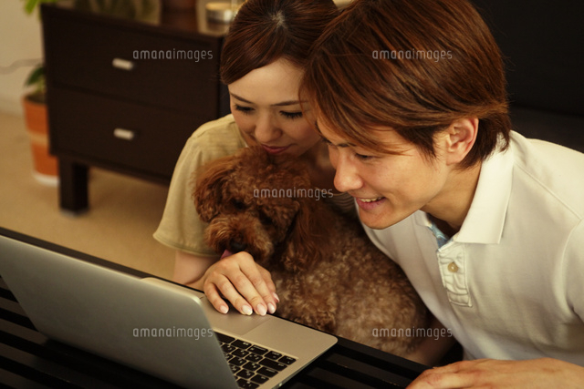 パソコンを見つめるカップルと犬 の写真素材 イラスト素材 アマナイメージズ