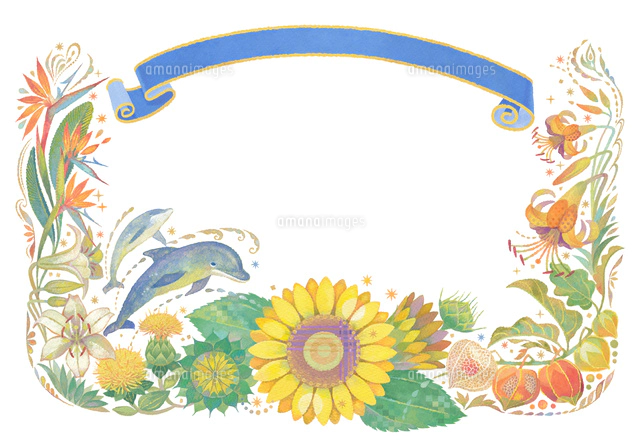 夏 花のイラスト素材 アマナイメージズ