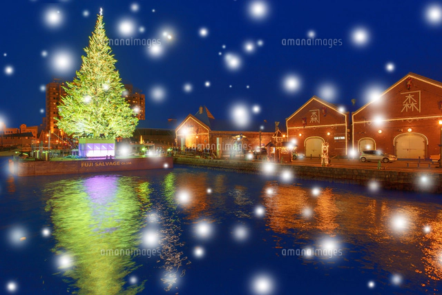 クリスマスツリー　森 pslm0009-2.jpg