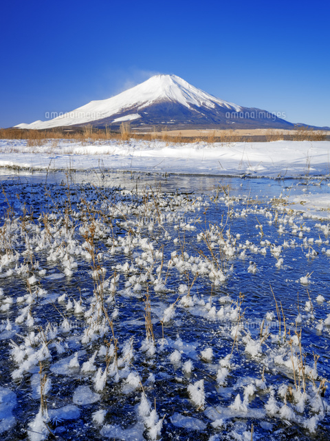 富士山 山中湖畔冬景色 の写真素材 イラスト素材 アマナイメージズ