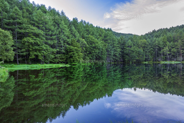 御射鹿池新緑 緑がこだまする「緑響く」の絶景、新緑と紅葉の御射鹿池 - 地球