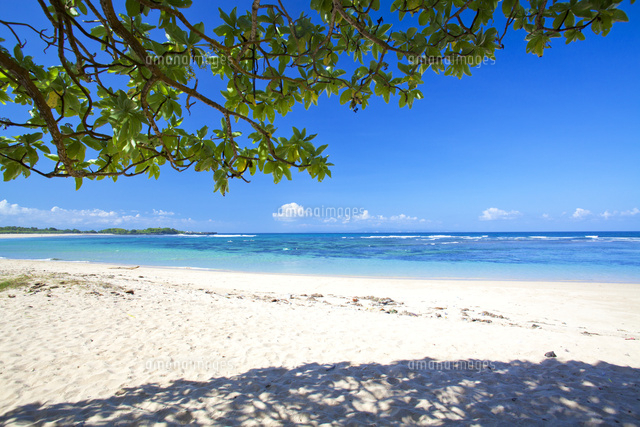 インドネシア　バリ島　細密画　149cm×112cm 著名作家　配送不可 インドネシア バリ島 細密画 149cm×112cm 著名作家 配送不可 - メルカリ