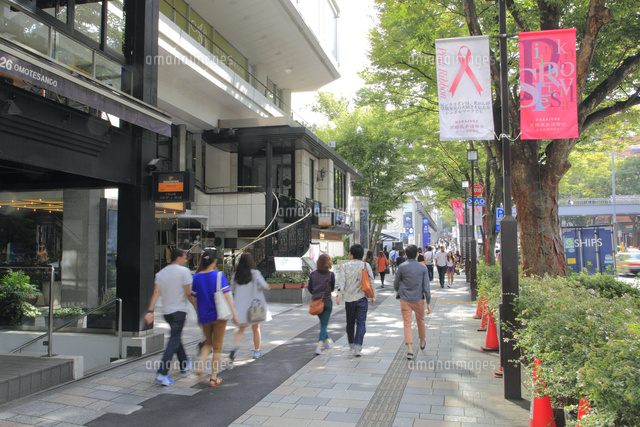 表参道 の写真素材 イラスト素材 アマナイメージズ