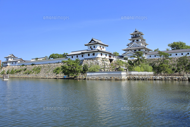 今治城 の写真素材 イラスト素材 アマナイメージズ