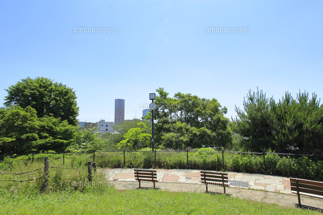 西郷山公園 の写真素材 イラスト素材 アマナイメージズ