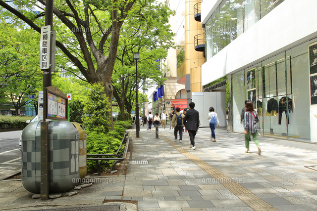 表参道の風景 の写真素材 イラスト素材 アマナイメージズ