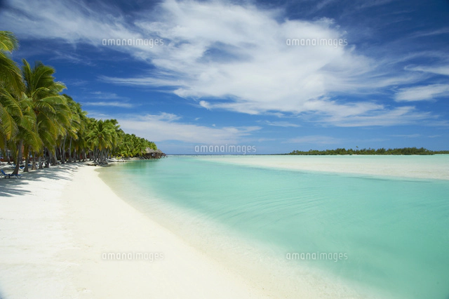 南国の風景[10445001587]の写真・イラスト素材｜アマナイメージズ