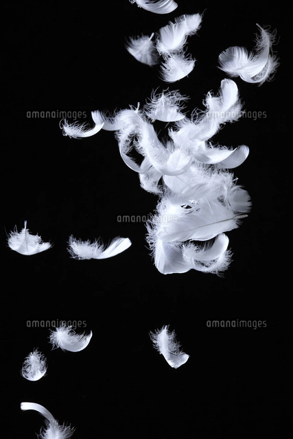 ジュエリー の写真素材 イラスト素材 アマナイメージズ ジュエリー の写真素材 イラスト素材 アマナイメージズ