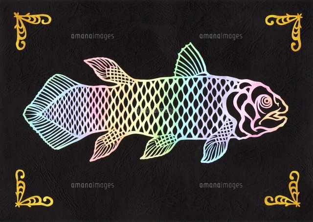 シーラカンス の写真素材 イラスト素材 アマナイメージズ