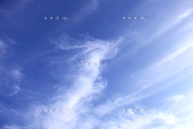 【絵画】青空の中の雲 Yahoo!オークション - 新藤淑子【夏と空と飛行機雲】1点物 真作