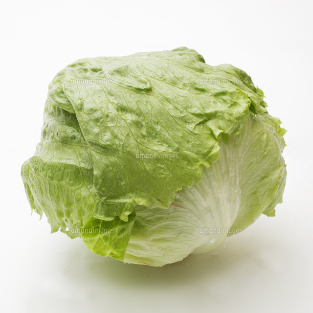 レタス の写真素材 イラスト素材 アマナイメージズ