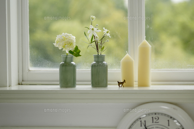 梅雨 白い花 の写真素材 イラスト素材 アマナイメージズ