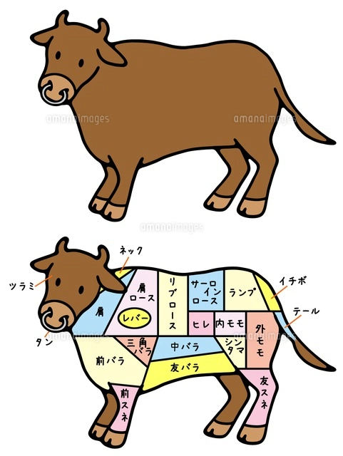 動物と食肉 牛と牛肉の部位 の写真素材 イラスト素材 アマナイメージズ