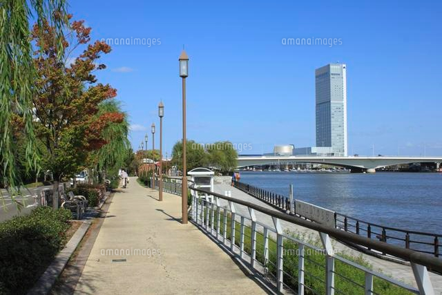 信濃川沿いの遊歩道から望む朱鷺メッセと柳都大橋 の写真素材 イラスト素材 アマナイメージズ
