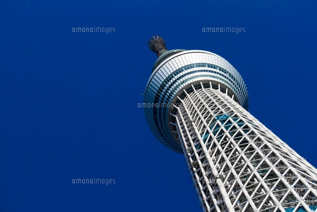 青空の東京スカイツリーを見上げる の写真素材 イラスト素材 アマナイメージズ