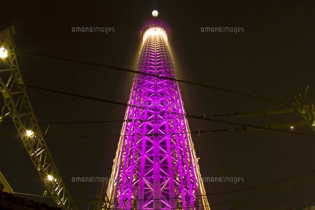 真下から見る東京スカイツリーライトアップ雅[10480000600]の写真素材 