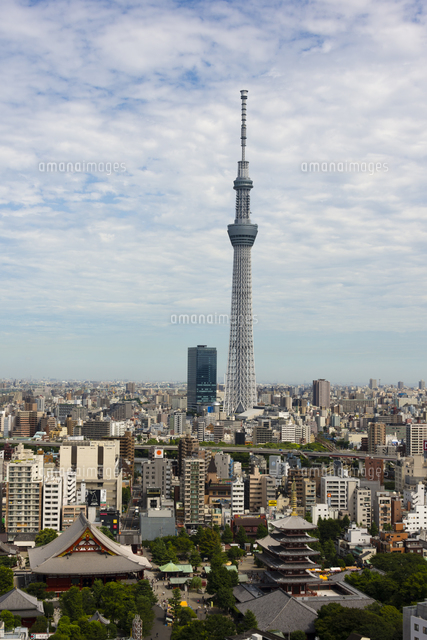 東京スカイツリーと浅草の町並み 縦位置 の写真素材 イラスト素材 アマナイメージズ