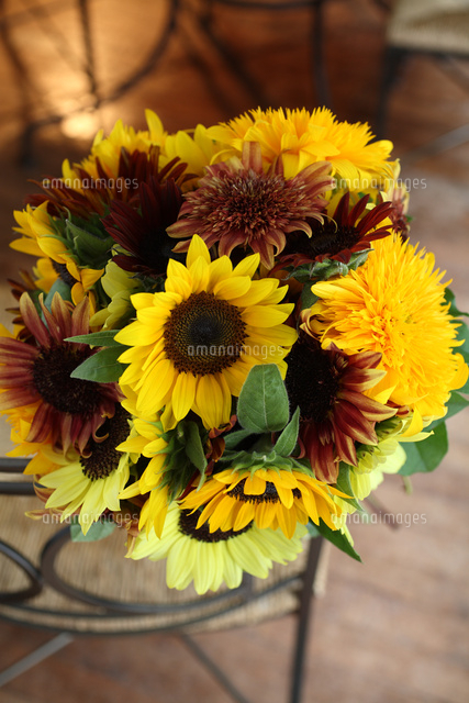 ヒマワリの花束 の写真素材 イラスト素材 アマナイメージズ