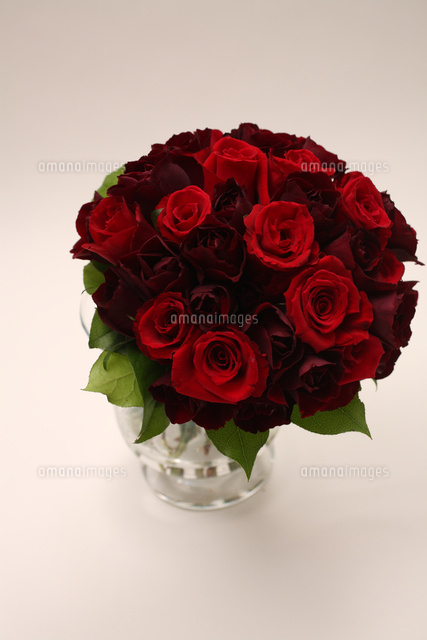 赤いバラのウェディングブーケ 花束 の写真素材 イラスト素材 アマナイメージズ 赤いバラのウェディングブーケ 花束 の写真素材 イラスト素材 アマナイメージズ