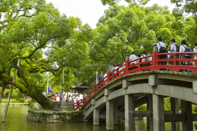 人々で賑わう大宰府天満宮の太鼓橋[10487001823]の写真・イラスト素材