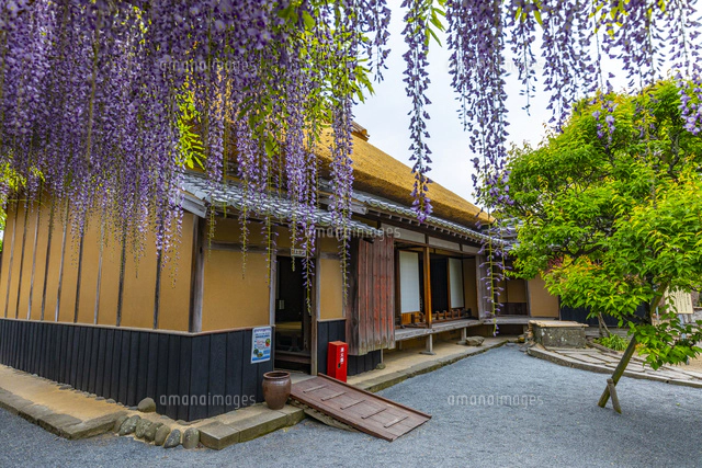 中津の福沢諭吉旧居[10487002981]の写真・イラスト素材｜アマナイメージズ