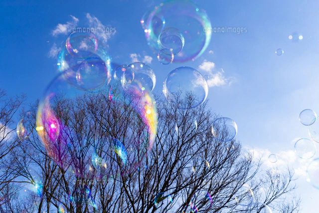 青空に浮かぶシャボン玉[10487004015]の写真・イラスト素材｜アマナ