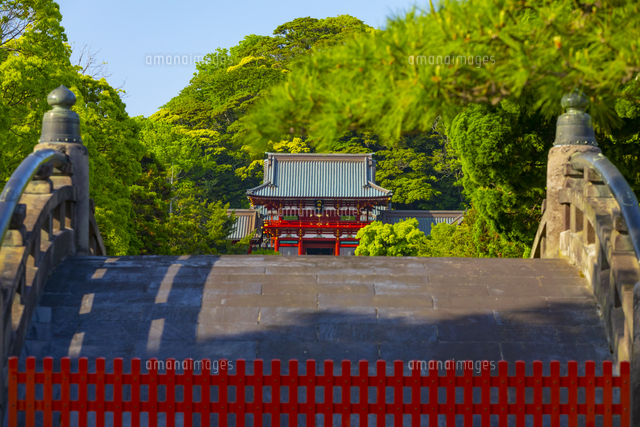 鶴岡八幡宮本宮と太鼓橋 の写真素材 イラスト素材 アマナイメージズ