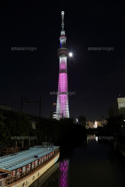 源森橋より望むピンク色にライトアップした東京スカイツリーと月 の写真素材 イラスト素材 アマナイメージズ