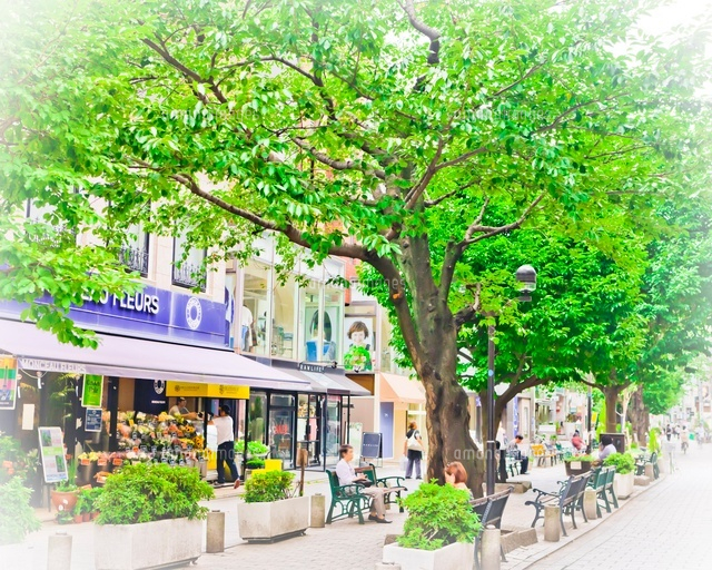 自由が丘の町並み 九品仏川緑道[10505000007]の写真・イラスト素材