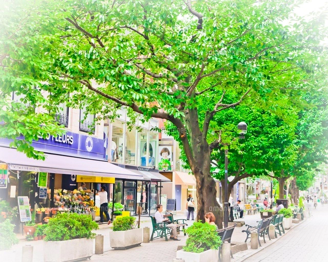 自由が丘の町並み 九品仏川緑道[10505000009]の写真・イラスト素材