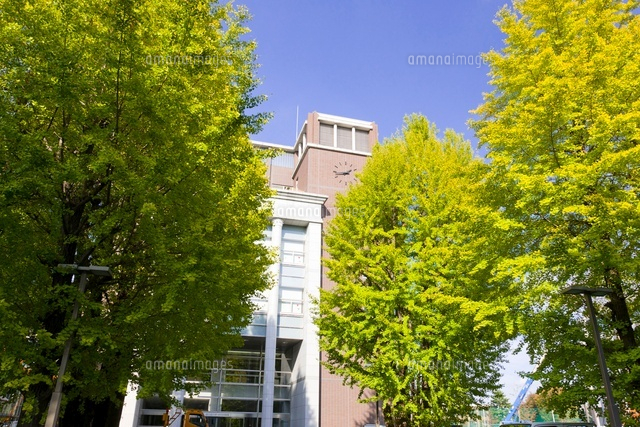 国士舘大学 世田谷キャンパス の学生マンション 学生向け賃貸や学校情報