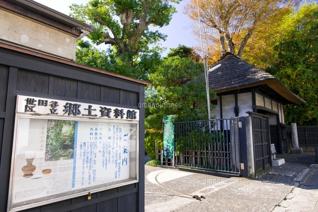 世田谷区立三宿の森緑地[10505000743]の写真・イラスト素材｜アマナ