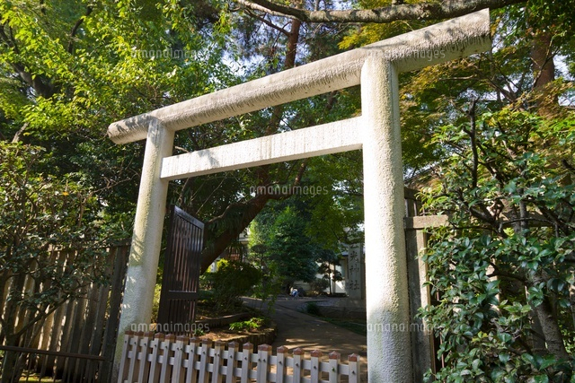 玉光神社 の写真素材 イラスト素材 アマナイメージズ