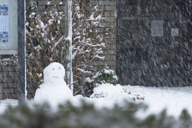 東京の大雪(2013年1月14日)／雪だるま[10510002931]の写真・イラスト