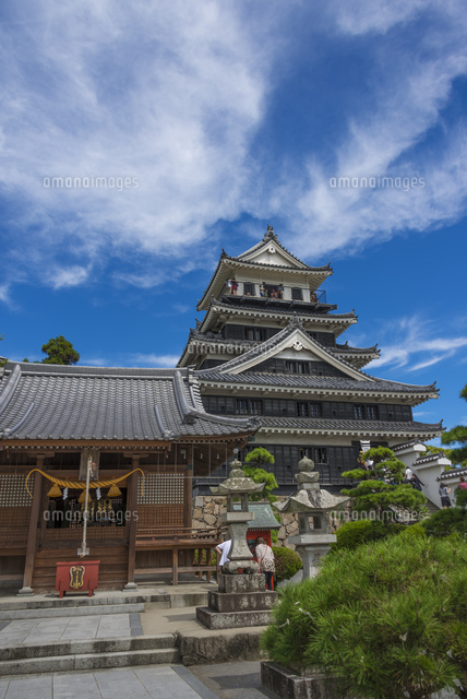 中津城・奥平神社(縦)[10510004177]の写真・イラスト素材｜アマナ