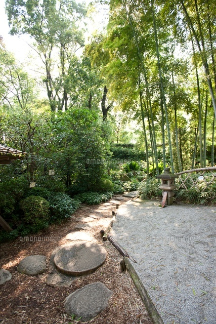 赤塚植物園 の写真素材 イラスト素材 アマナイメージズ