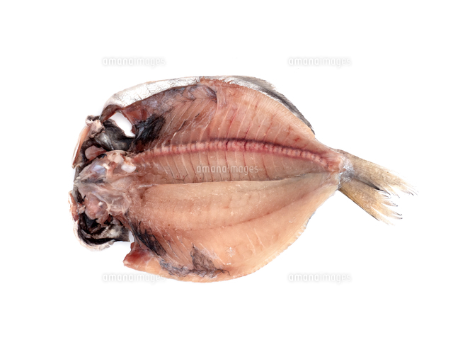 エボダイの干物 の写真素材 イラスト素材 アマナイメージズ