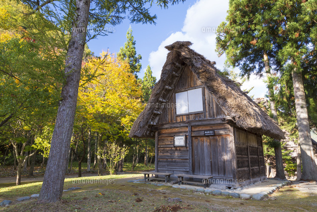 白川郷の合掌造り民家園 の写真素材 イラスト素材 アマナイメージズ