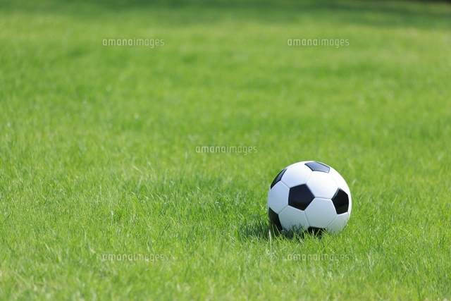 芝生の上のサッカーボール の写真素材 イラスト素材 アマナイメージズ
