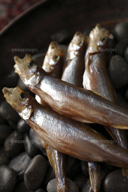 子持ちししゃもアップ の写真素材 イラスト素材 アマナイメージズ