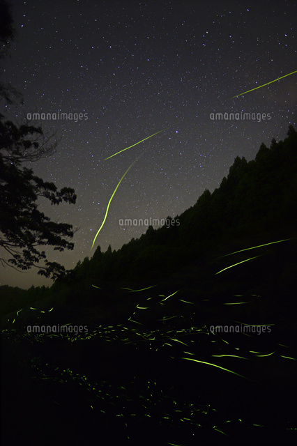 夏の星座とゲンジボタル の写真素材 イラスト素材 アマナイメージズ