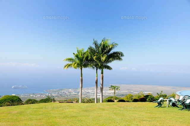 コーヒー農園の芝生とヤシの木と海 ハワイ島 の写真素材 イラスト素材 アマナイメージズ