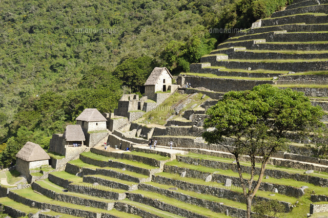 マチュピチュ遺跡の段々畑と貯蔵庫 の写真素材 イラスト素材 アマナイメージズ マチュピチュ遺跡の段々畑と貯蔵庫 の写真素材 イラスト素材 アマナイメージズ
