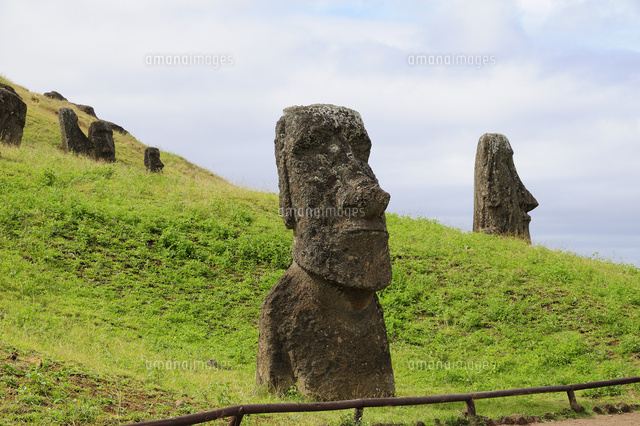 ラノララク遺跡公園のモアイ像群 の写真素材 イラスト素材 アマナイメージズ