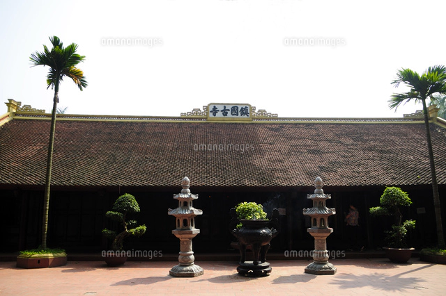 ハノイ旧市街のハノイ大教会[10530005652]の写真・イラスト素材