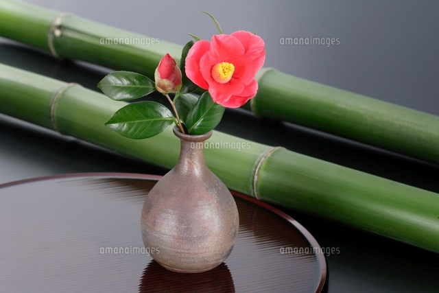 一輪差しの椿と竹[10531000118]の写真・イラスト素材｜アマナイメージズ
