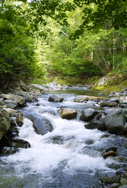 照葉峡の渓流風景 の写真素材 イラスト素材 アマナイメージズ