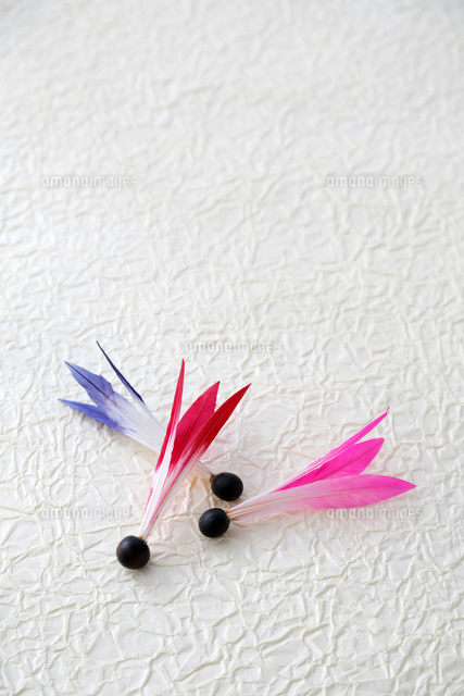 羽子板の羽根 の写真素材 イラスト素材 アマナイメージズ