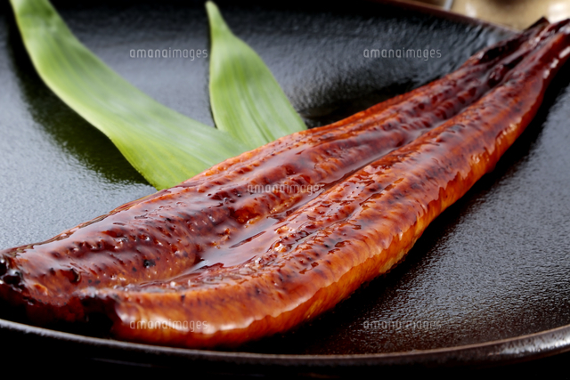 鰻の蒲焼 の写真素材 イラスト素材 アマナイメージズ 鰻の蒲焼 の写真素材 イラスト素材 アマナイメージズ