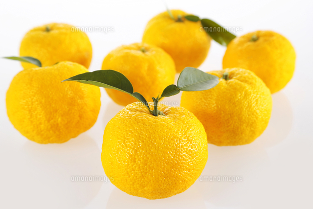 ゆず の写真素材 イラスト素材 アマナイメージズ ゆず の写真素材 イラスト素材 アマナイメージズ